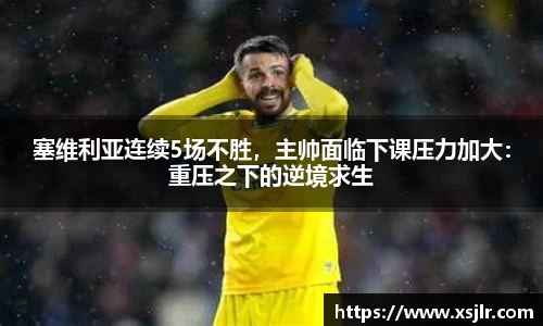 BoB半岛·体育中国官方网站