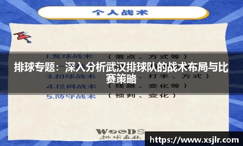 排球专题：深入分析武汉排球队的战术布局与比赛策略