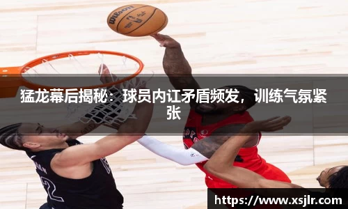 BoB半岛·体育中国官方网站