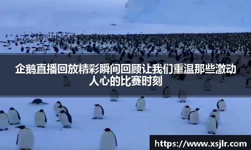 企鹅直播回放精彩瞬间回顾让我们重温那些激动人心的比赛时刻