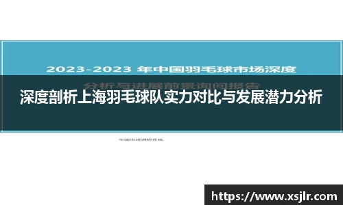 深度剖析上海羽毛球队实力对比与发展潜力分析