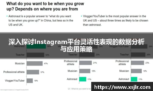 深入探讨Instagram平台灵活性表现的数据分析与应用策略