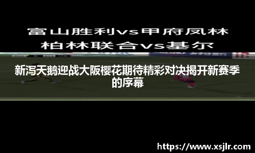 BoB半岛·体育中国官方网站