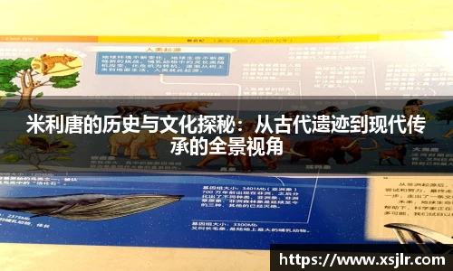 半岛bob·官方网站
