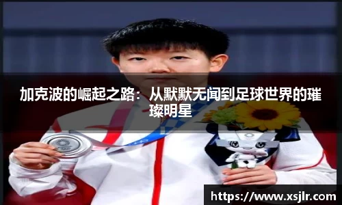 BoB半岛·体育中国官方网站