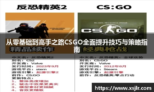 BoB半岛·体育中国官方网站
